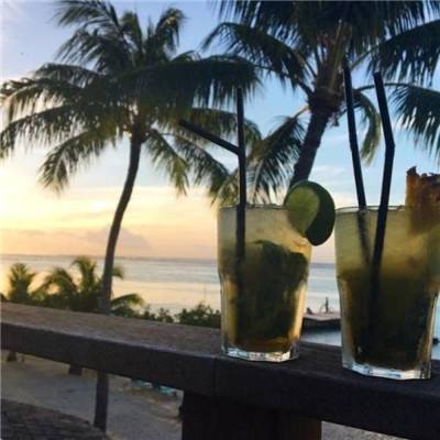 诺亚传说流浪地球游戏下载